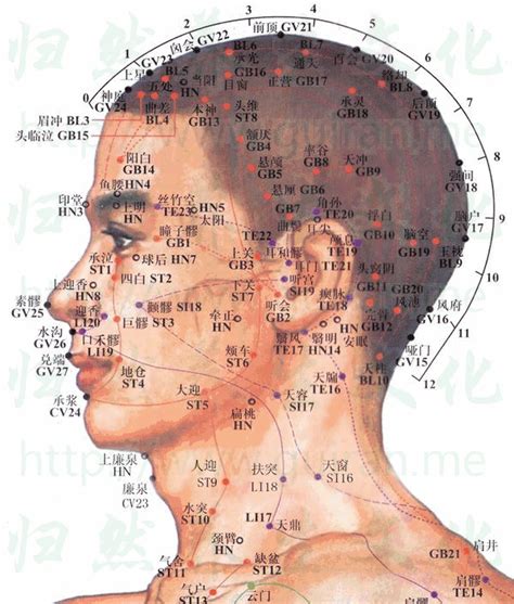 腦門穴|人體穴位大全——腦戶穴：頭痛失眠、癲癇、項強枕神經痛等